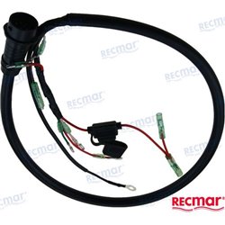 CDI CABLE ASSY (10 PIN)