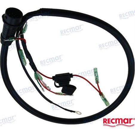 CDI CABLE ASSY (10 PIN)