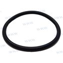 O-RING 24-031