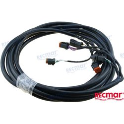 EXTENSION ARNES 20´