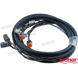 ARNES ELECTRICO 10´