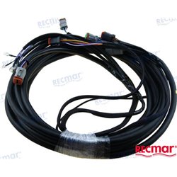 ARNES ELECTRICO 28´