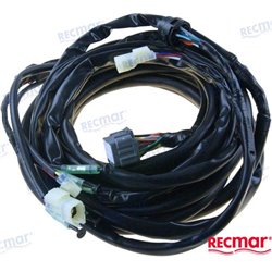 ARNES EXT. SUZUKI 5 M. CON PT