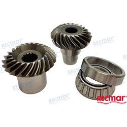 KIT PIÑONES Y COJINETE