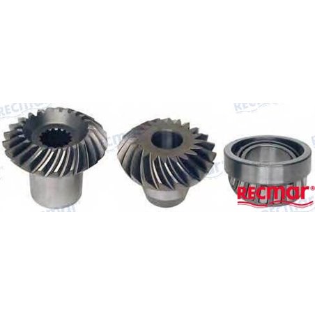 KIT PIÑONES-COJINETE ALPHA 1998+