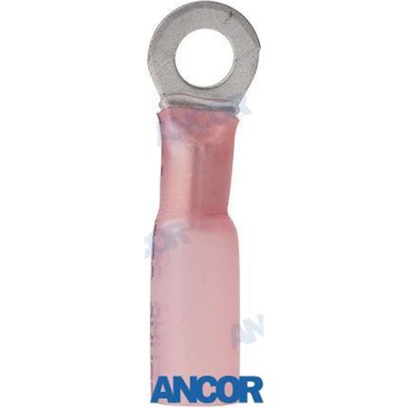 TERMINAL CON TERMORETRACTIL