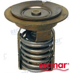 TERMOSTATO MERCURY 110º