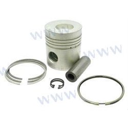 KIT PISTON STANDARD
