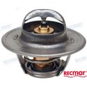 TERMOSTATO INOX MCM V6 Y V8