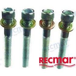 KIT 4 TORNILLOS COLA