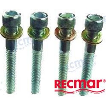 KIT 4 TORNILLOS COLA