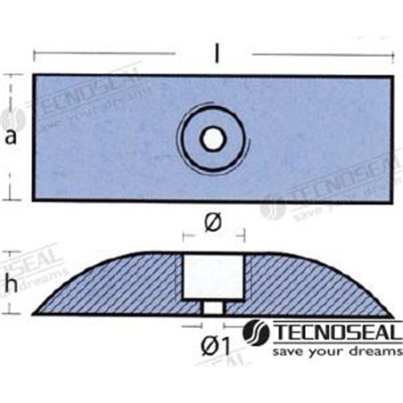 ANODO CAP ZINC Ø 42X3MM 4,3 KG COMPLETO