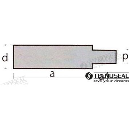 ANODO BUKH TEN02050T