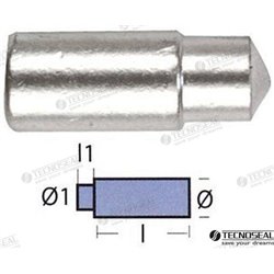 ANODO BUKH DIA 10MM TEN02053T 