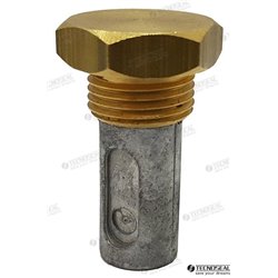 ANODO RENAULT C/TAPON