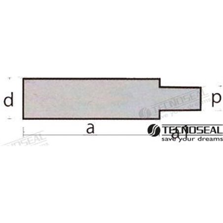 ANODO SCANIA ZINC DIA 17MM TEN02201T