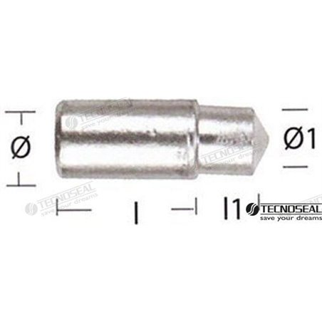 ANODO LOMBARDINI ZINC TEN02351T