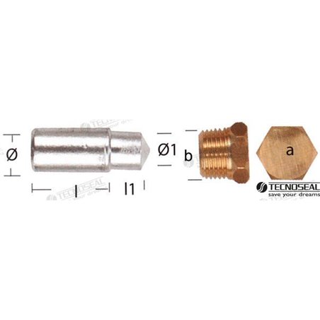 ANODO LOMBARDINI ZINC C/TAPON