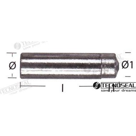 ANODO LOMBARDINI ZINC TEN02353T