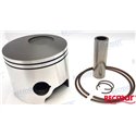 KIT PISTON OMC 0.30 V6