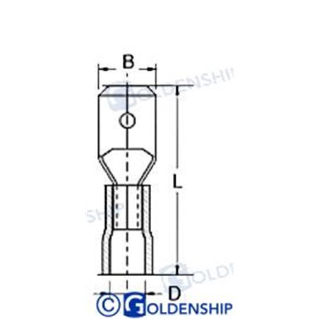 TERMINAL FASTON MACHO ROJO (25)