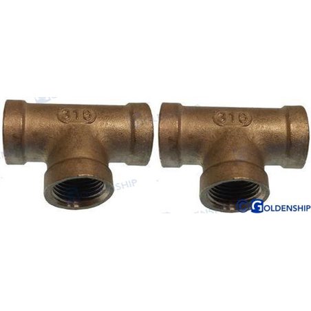 CONEXIÓN "T" HEMBRA  INOX  1/2 (2)