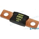 FUSIBLE SEA 100A
