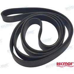 BELT: 8.1 SERPENTINE W/PWR ST