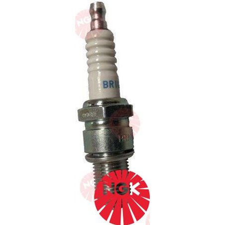 BUJIA NGK BR10ES
