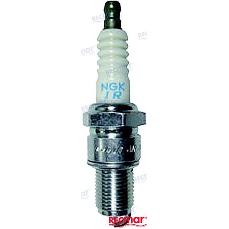 BUJIA NGK CPR6EA-9