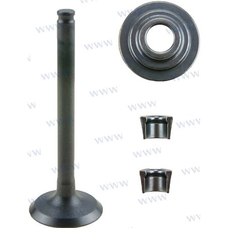 VÁLVULA DE ADMISIÓN