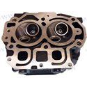 CYLINDER HEAD ASSY -COMPLETE
